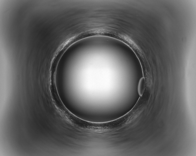 X0000087510486200704271125