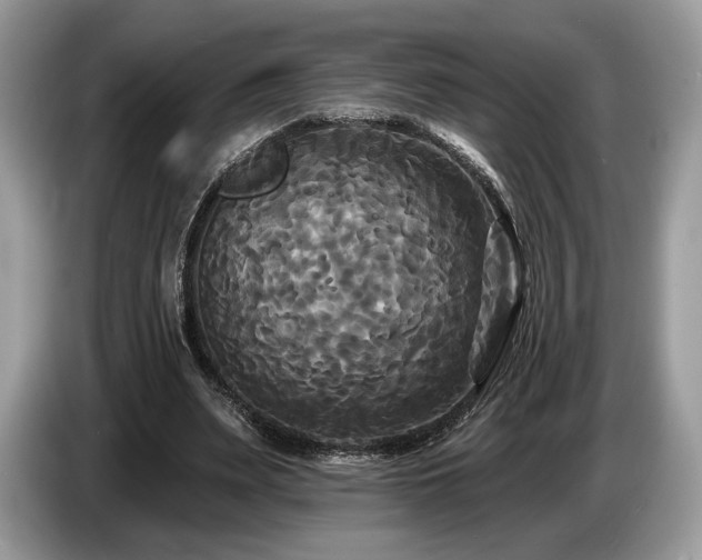 X0000087510487200704271125