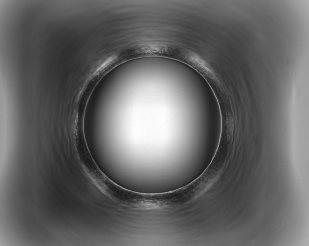 X0000087510490200704271125