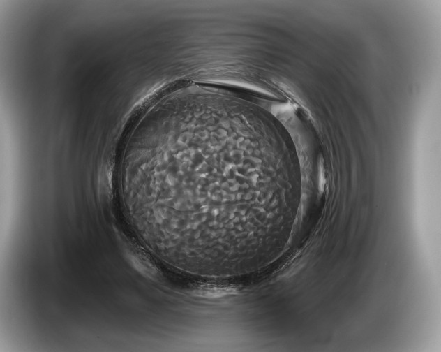 X0000087510491200704271125