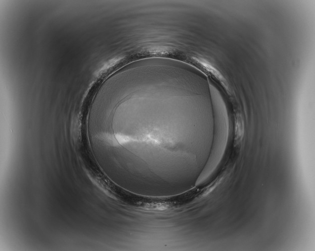 X0000087510492200704271125