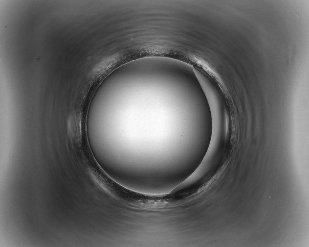 X0000087510493200704271125