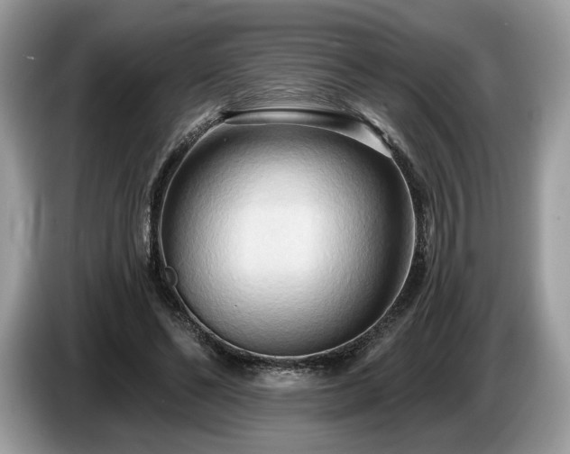 X0000087510494200704271125