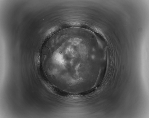 X0000087510495200704271125