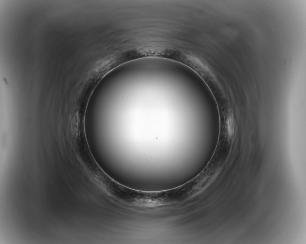 X0000087510498200704271125