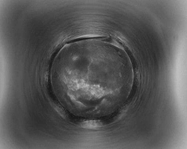 X0000087510499200704271125