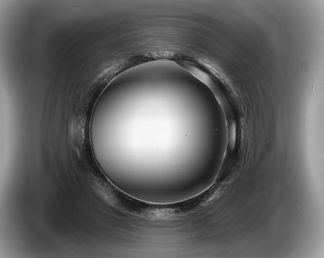X0000087510501200704271125