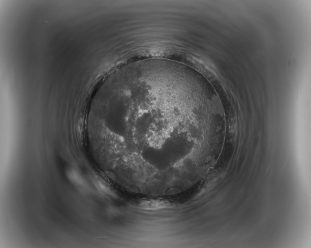 X0000087510503200704271125