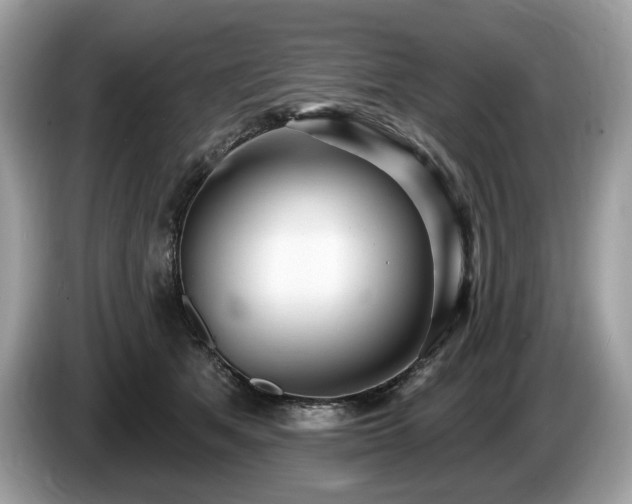 X0000087510513200704271125