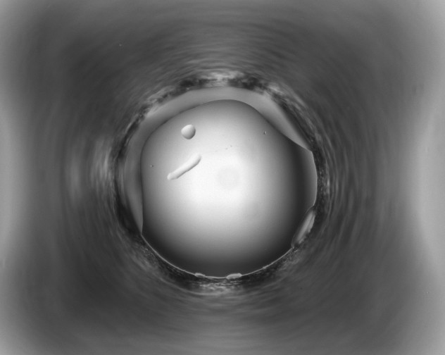 X0000087510516200704271125