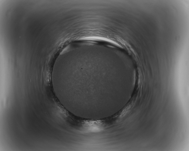 X0000087510517200704271125