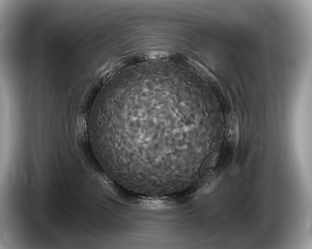 X0000087510523200704271125