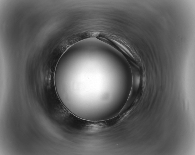 X0000087510525200704271125
