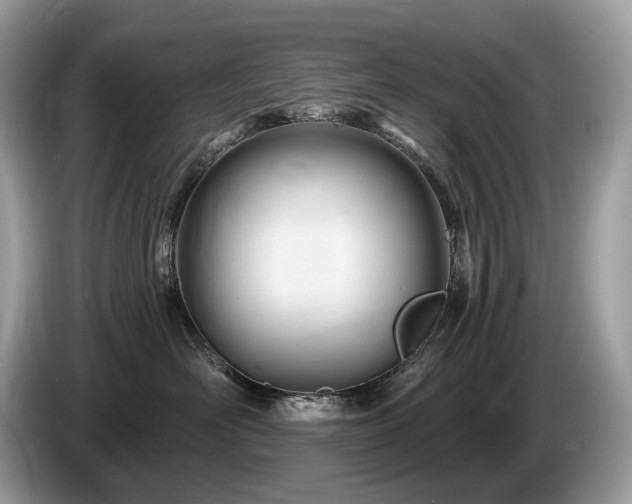 X0000087510526200704271125