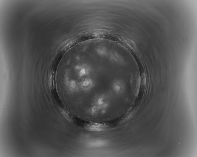 X0000087510527200704271125