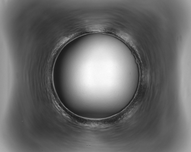 X0000087510529200704271124