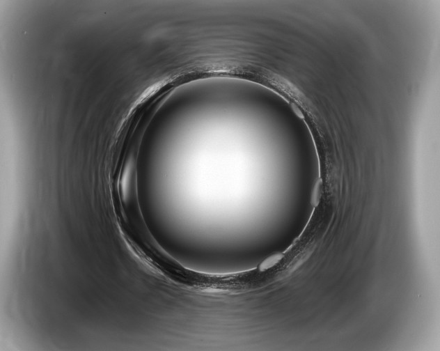 X0000087510530200704271124