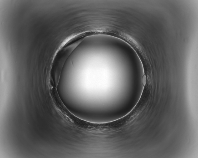 X0000087510532200704271124