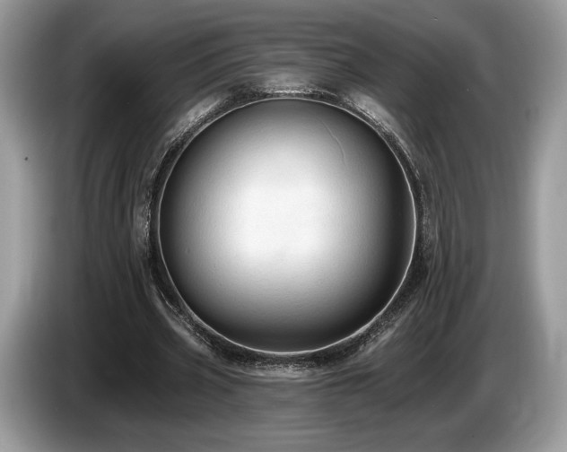 X0000087510533200704271124