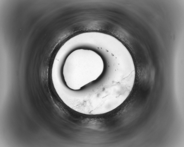 X0000087510534200704271124