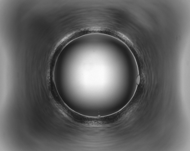 X0000087510535200704271124