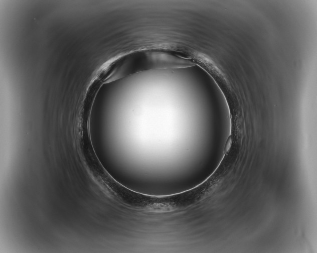 X0000087510536200704271124
