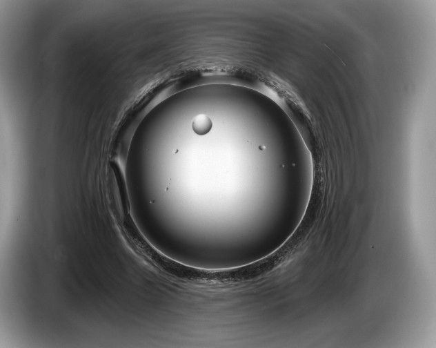 X0000087510538200704271124