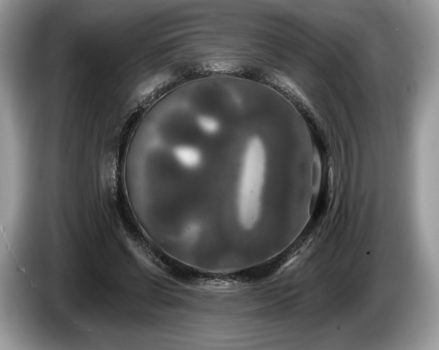X0000087510542200704271124