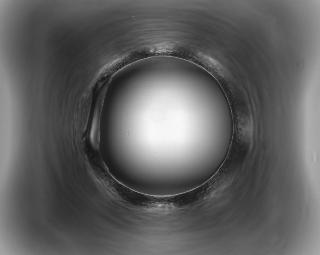 X0000087510543200704271124