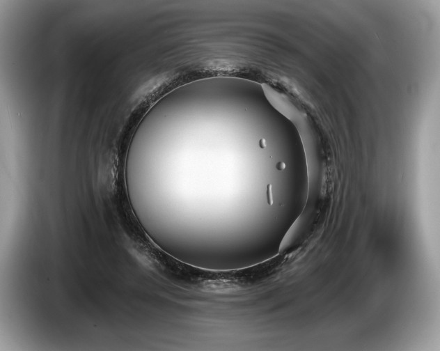 X0000087510544200704271124