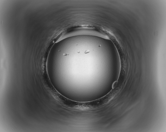 X0000087510545200704271124