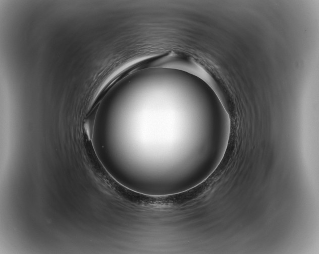 X0000087510546200704271124