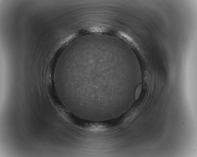 X0000087510547200704271124