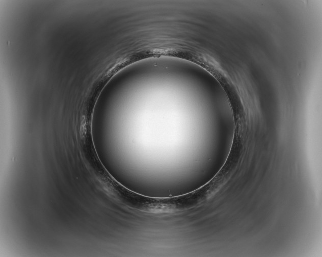 X0000087510549200704271124