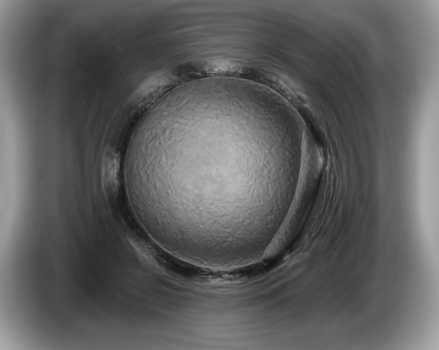 X0000087510550200704271124
