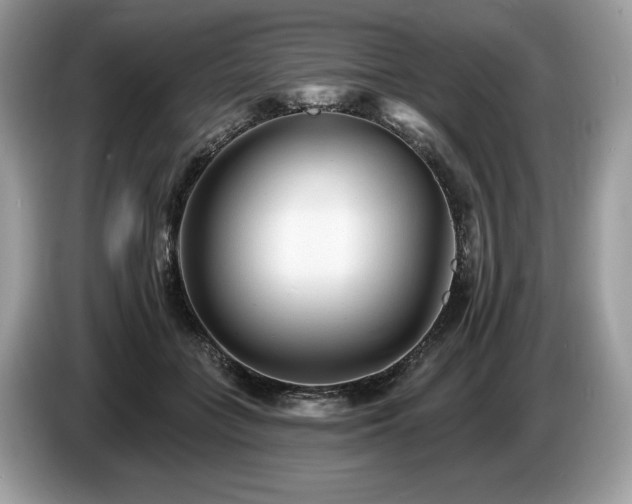 X0000087510555200704271124