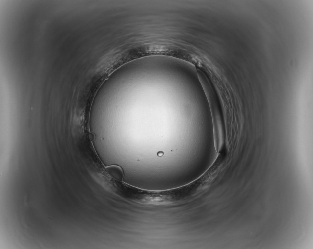 X0000087510557200704271124