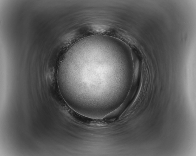 X0000087510559200704271124