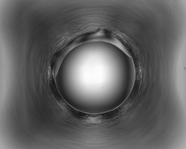 X0000087510560200704271124