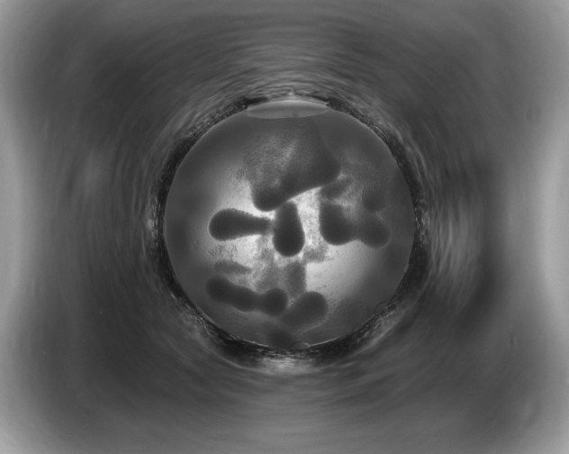 X0000087510561200704271124