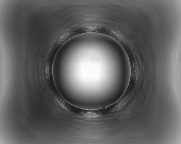 X0000087510562200704271125