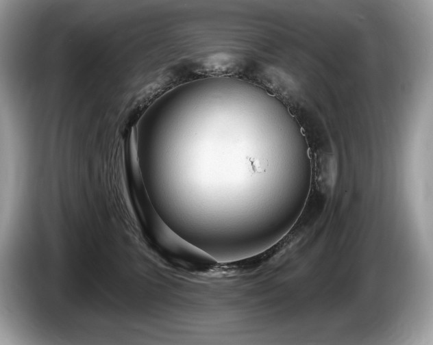 X0000087510563200704271125