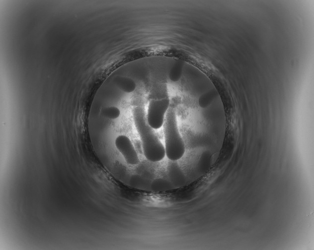 X0000087510565200704271125