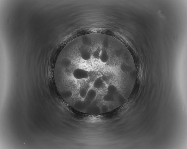 X0000087510569200704271125