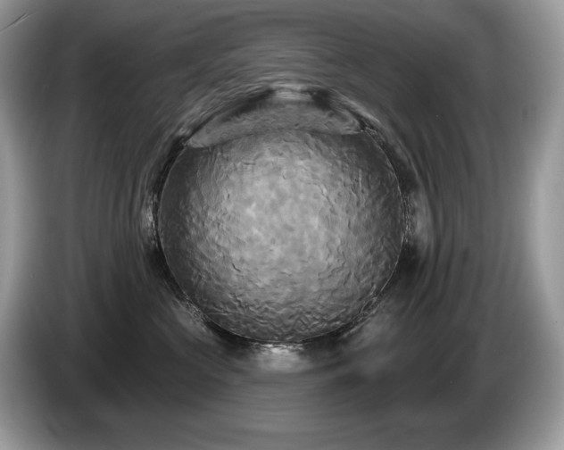X0000087510573200704271125