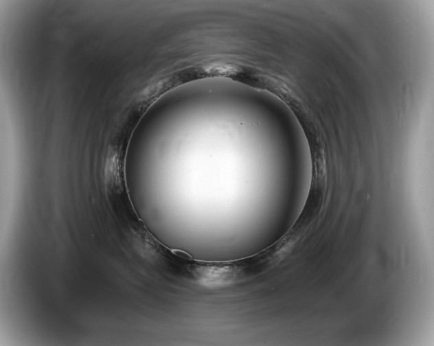 X0000087510575200704271125