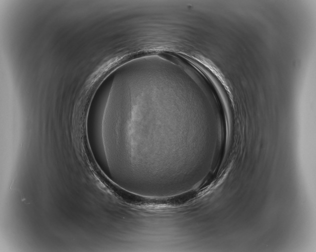 X0000087510577200704271124