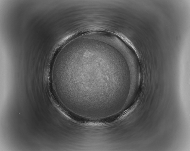 X0000087510581200704271124