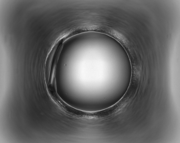 X0000087510582200704271124
