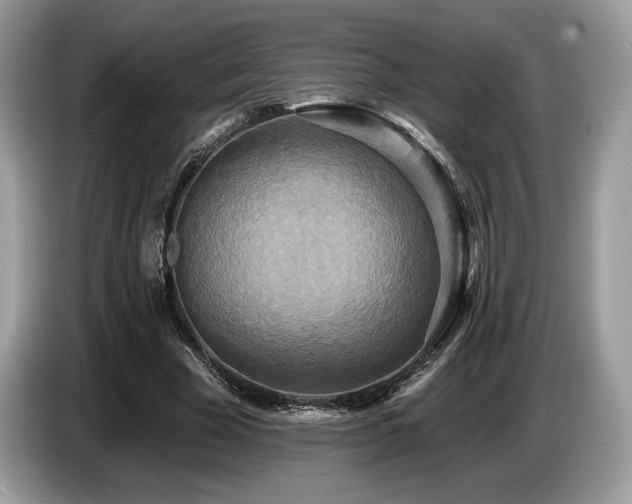 X0000087510585200704271124